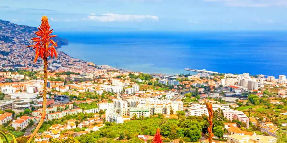 14-Day Canary Island Enchantment With Portugal