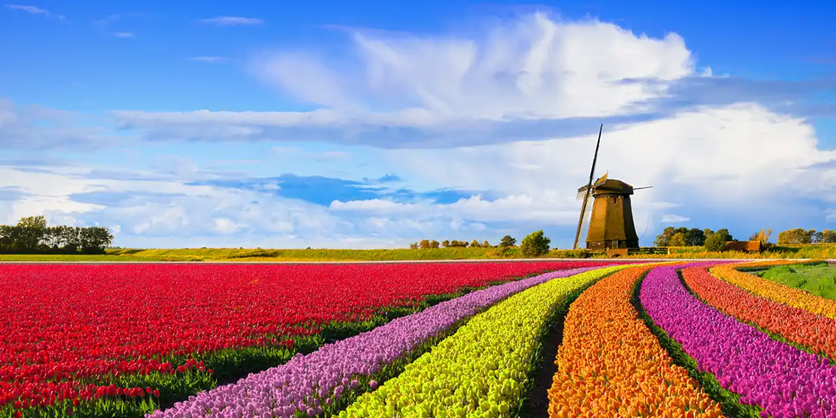 Netherlands