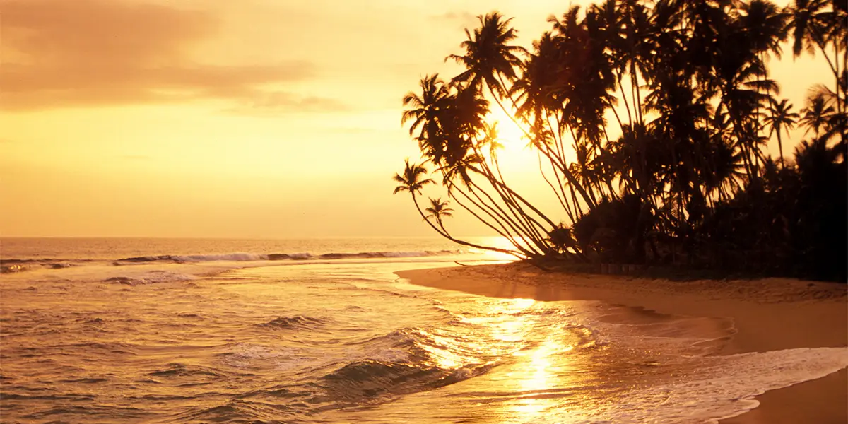 The Ultimate Sri Lankan Beach Escape & Ahungalla Safari