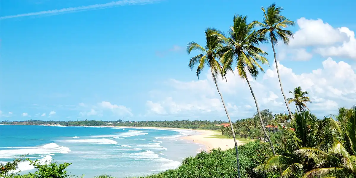 Safari Sunsets & Southern Shores of Sri Lanka