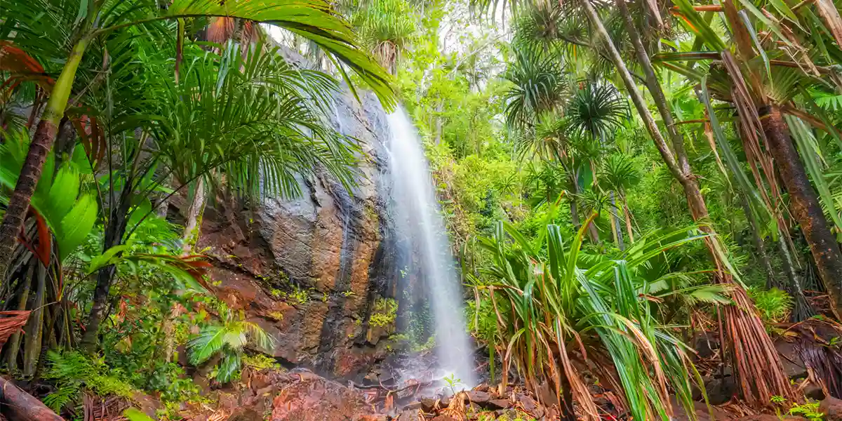 Journey Through Seychelles: Twin Islands, One Adventure