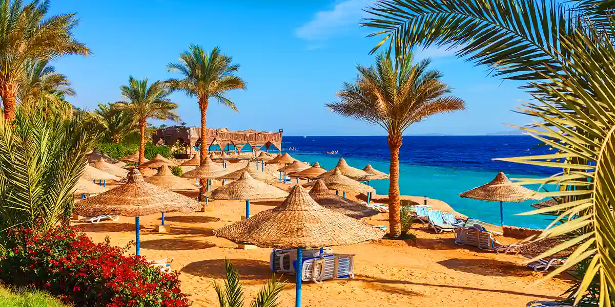 Unwind in Style at Parrotel Lagoon Resort Sharm El Sheikh