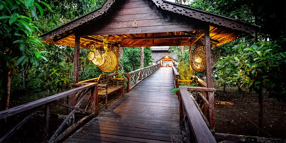 https://toduk.blob.core.windows.net/hotelimage/package/slider/sukau-rainforest-lodge0731012025.webp